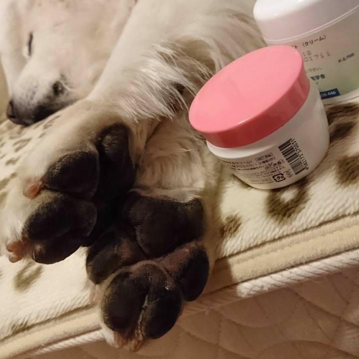 849ea56c 2b5f 455d 9e6e 2357e10db143 1547389533920