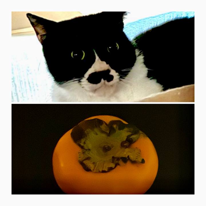 849ed625 11ec 48ed ba6b f38113361dc5 1730814171136