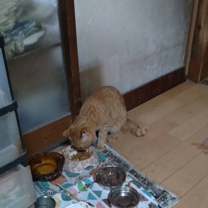 849ed683 1526 4e9f a5d5 8ffc3f5a9100 1667686326233