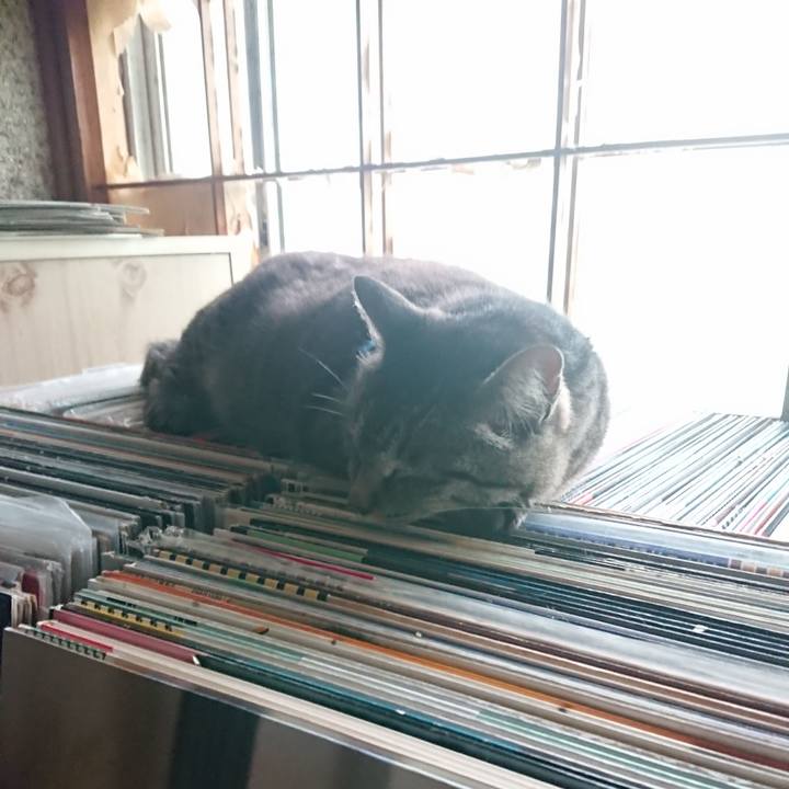 849ef476 4f63 437a b7d2 d342a3350e29 1656452409314