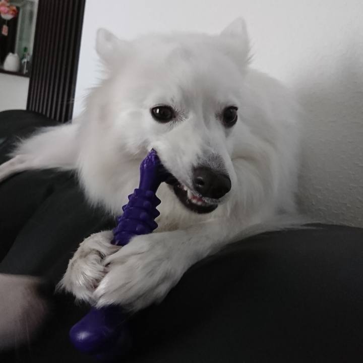 849ef563 13a6 4a45 b256 0f2109054f85 1549430948625