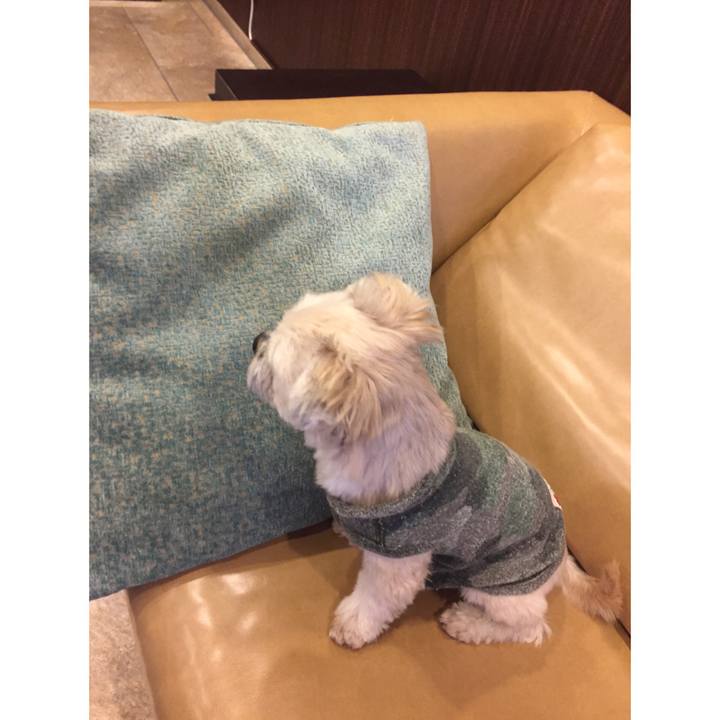 849f3222 1cb0 4b70 b01c 94f55fa5b1bd 1543159520181