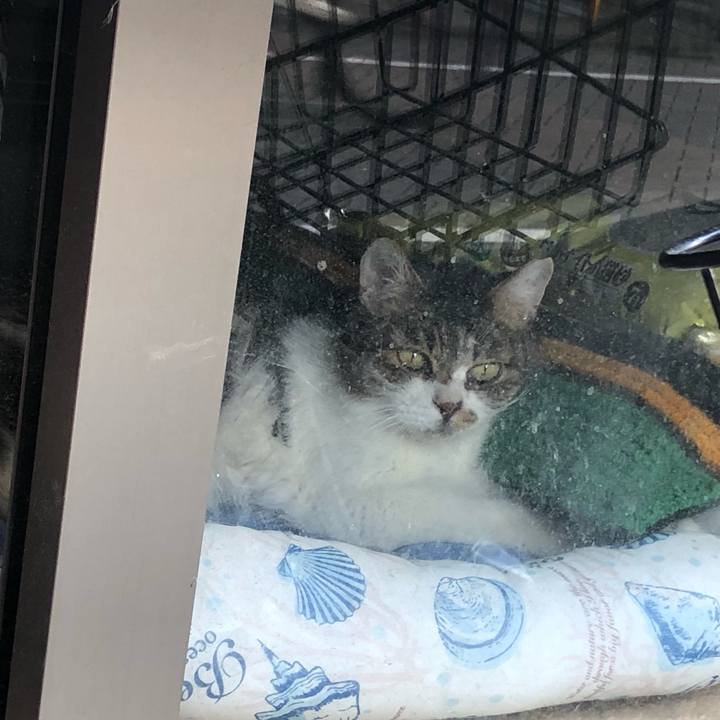 849f46a4 500a 4059 beef 795d50eeb90e 1643879528371