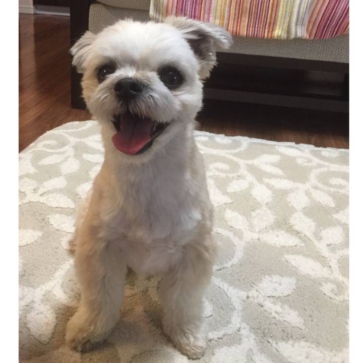 849f7982 8e14 49dd abda fd5d472e7b21 1558004798564