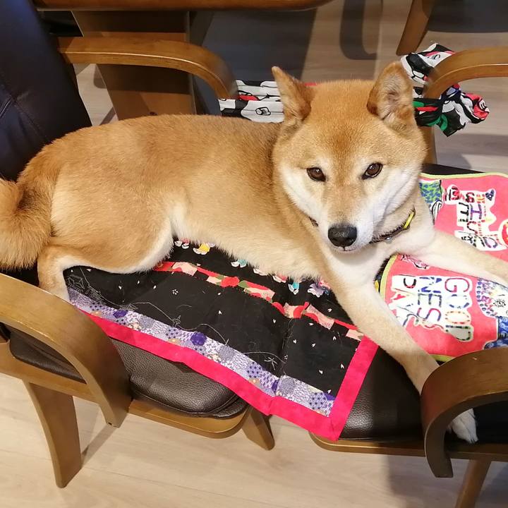 849f990f bcfd 4f24 be63 ca664d543ccf 1621602069103