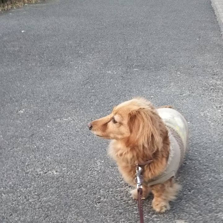 849f9bcc c43d 41c7 8eb9 90f7850c12e8 1576448258042