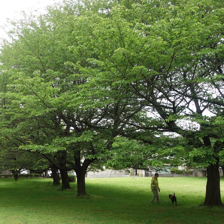 849fa8ed 0db8 4932 861c 5856b6923cf3 1682299885914