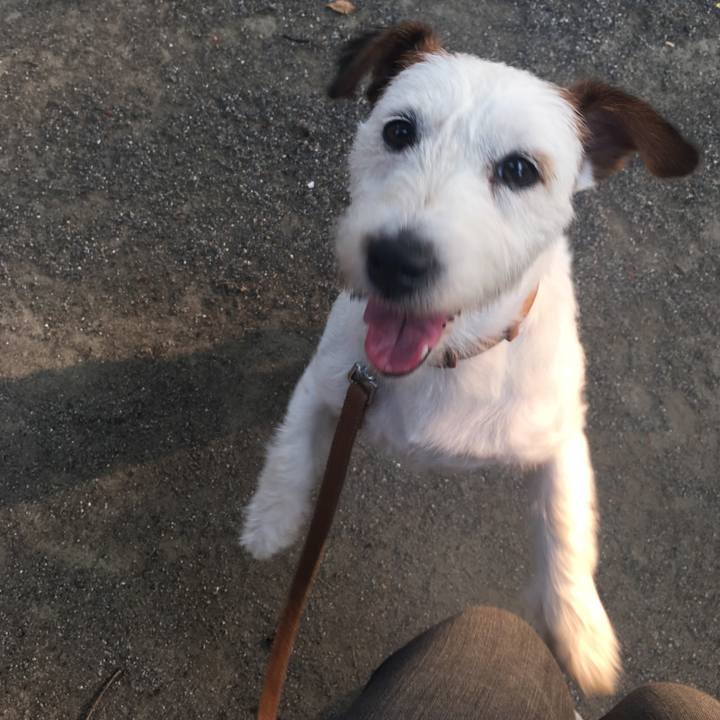 849fb0fa ba3c 4435 a5d7 6419e6e2c95a 1533253210632