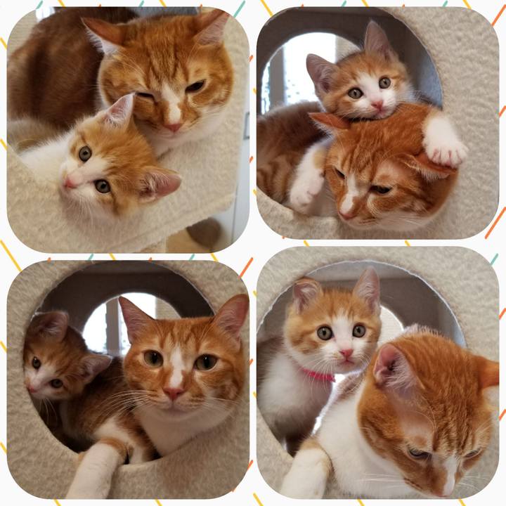 849fe324 f65e 4ea8 bdd0 932bf4e5716b 1540743199859