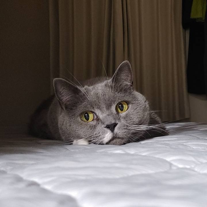 849fea8e 5e79 433e 8570 fa4b54d64ff3 1719071497205