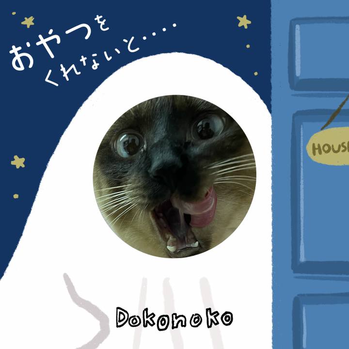 849ff28a fd18 4bbd 89f6 8354f6b512af 1730234066898