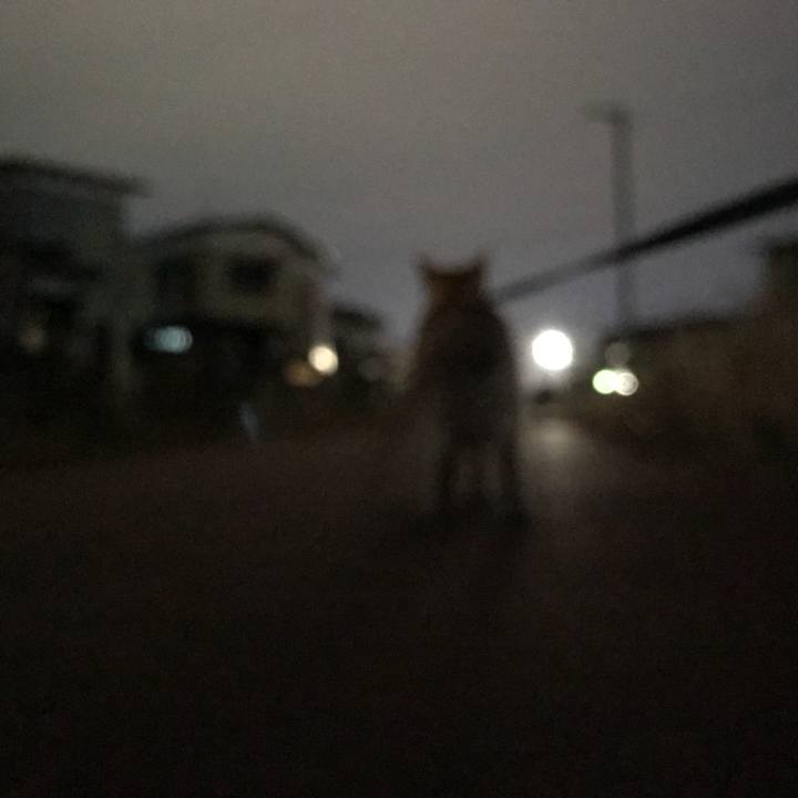 84a00029 abaf 43ef 9efc f6414d77bc8f 1512385500525