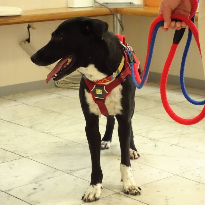 84a02120 44ee 4118 9847 ac867f9db6b8 1591936678160