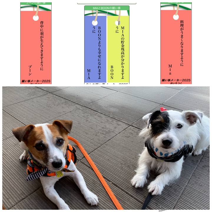 84a036e0 6e2d 4b53 afae d1082d6aefb0 1751846470618