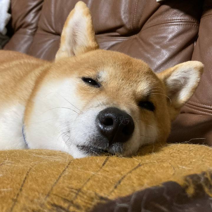 84a06a2d 6838 465a 9f40 756e6b56d226 1669023110701