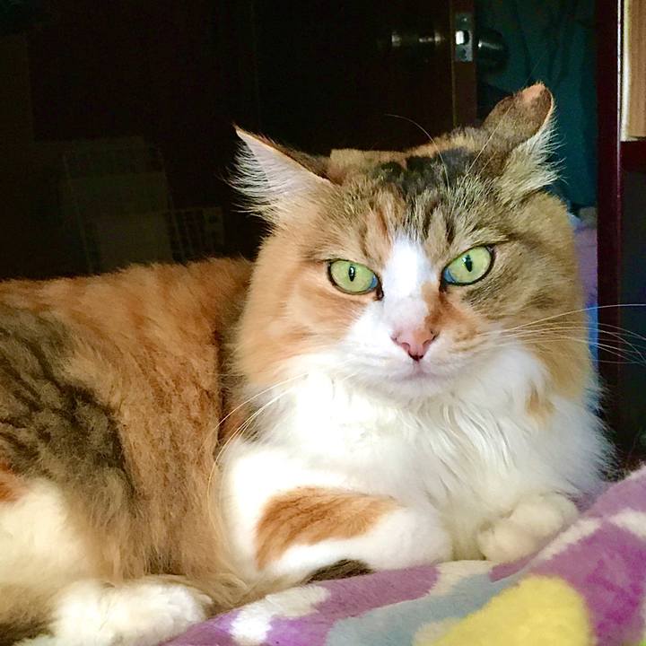 84a0742c affc 45db a815 d338b0f25363 1591771129578