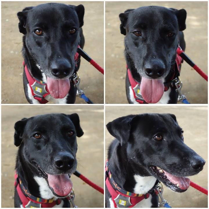 84a09039 3d7f 4cff b1a6 f14901f25890 1589158911434