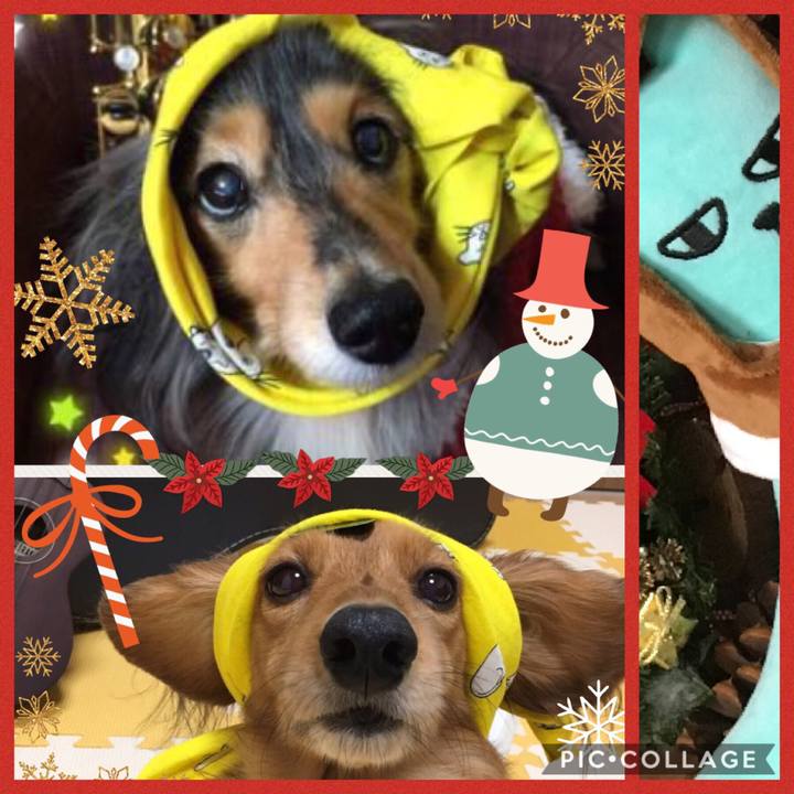 84a09b77 59e7 4690 8103 9e4bc7ecdc38 1513431981895