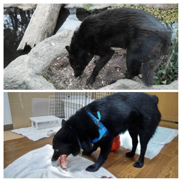 84a0aab4 b751 4c47 833d 7d8d660bf1f4 1550017222511