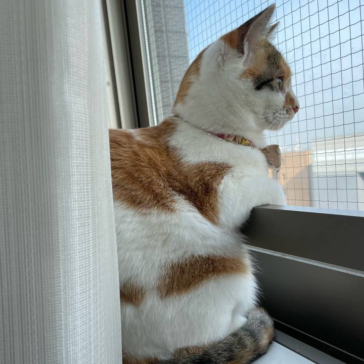 84a0bd1c 3246 42c8 9a0a b6273f6fbfff 1649633457656