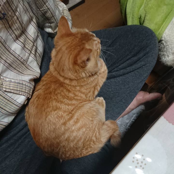 84a11283 03c2 4142 a83e 2c2a9210086c 1637268674798