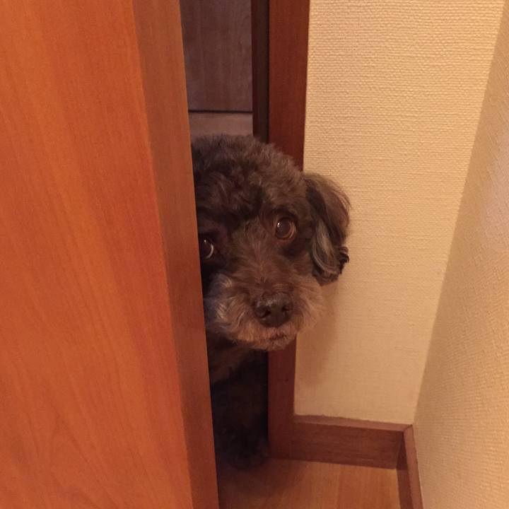 84a12458 7212 48b4 b75a 148f98f61f6f 1509675893018