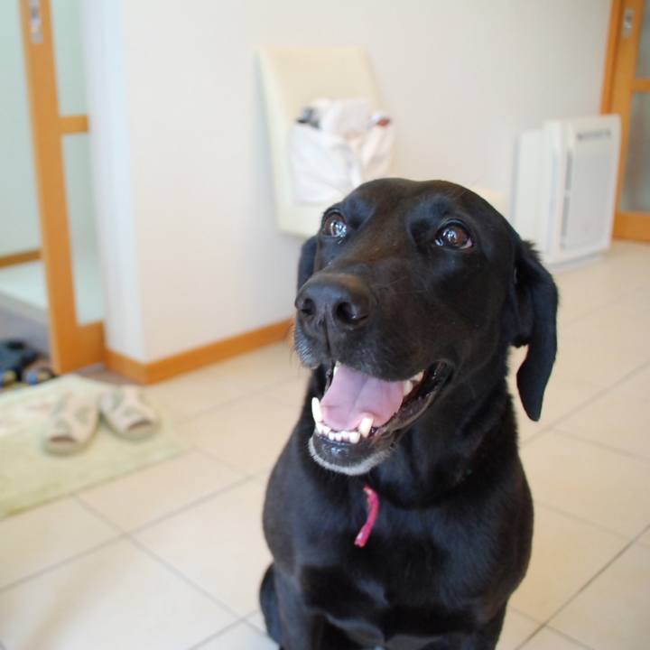 84a13661 e97b 4ca8 b8b8 908e98056c7f 1524289335953