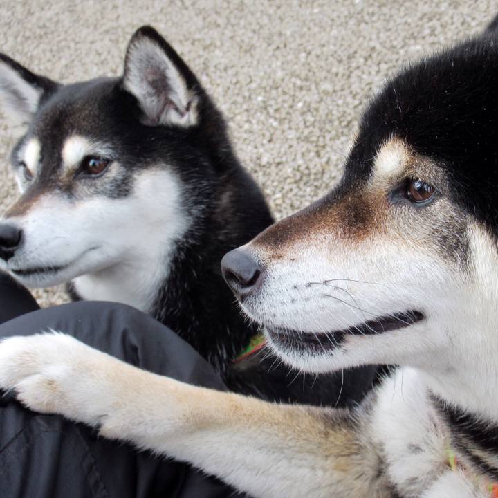 84a15483 9c9e 411b 976b 5a11eaee425f 1582345078149