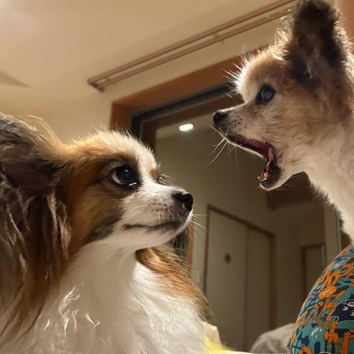 84a1b66a 4cec 4364 85f0 58f02896f7d2 1758435752053