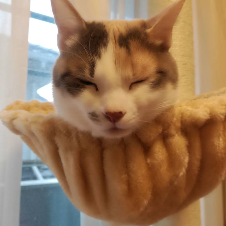 84a1c407 123a 41e0 83ae 2e3887a4524c 1517706454231