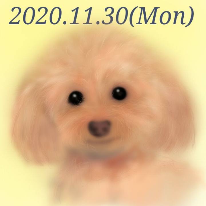 84a1ff0f b9d1 4f41 a686 d934a19cf0d2 1606738819751