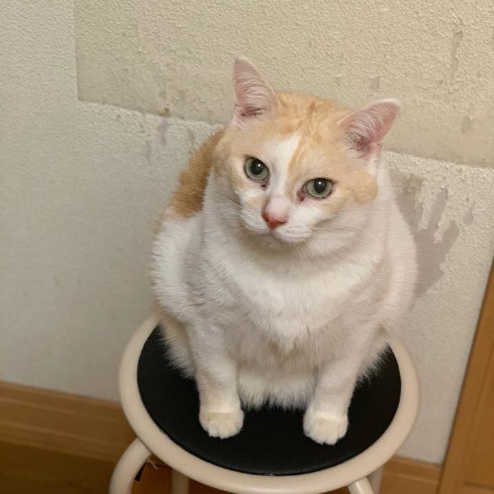 84a23b0a 5225 4b2f 9d88 e770f92b1cd0 1547877810402