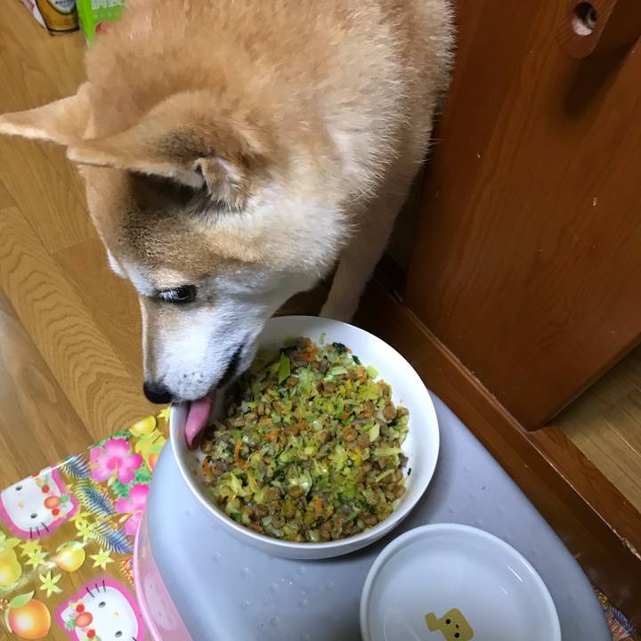 84a2432d 7081 49fd 84d5 320e7b0da6db 1541504985118