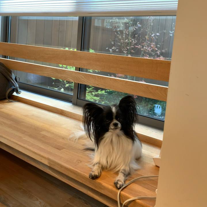 84a26d15 4876 48b7 9da2 2978623438d9 1545658230965