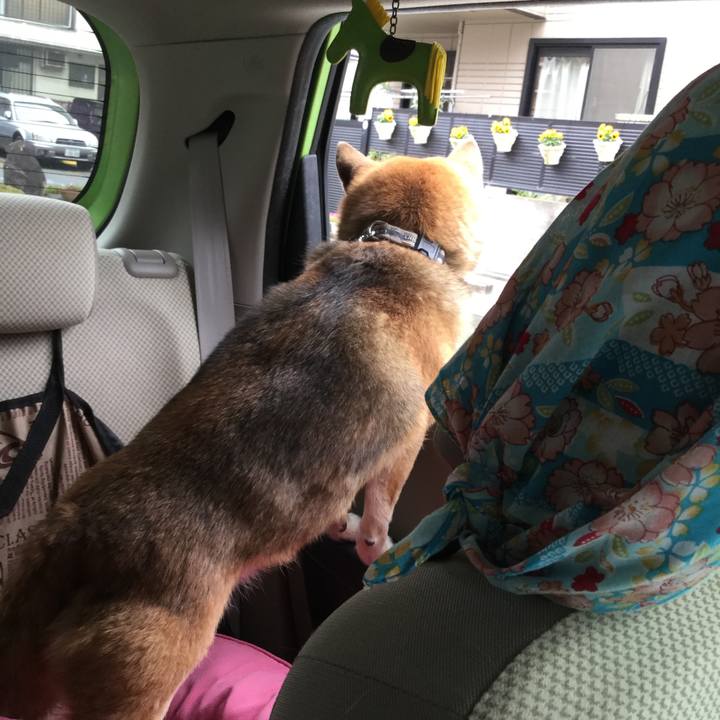 84a28216 e350 4a9b a0ce 344a565c593c 1609917805661