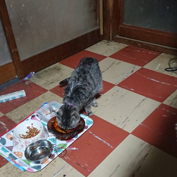 84a293aa e653 43f6 b3d5 5888d052ca01 1588364459747