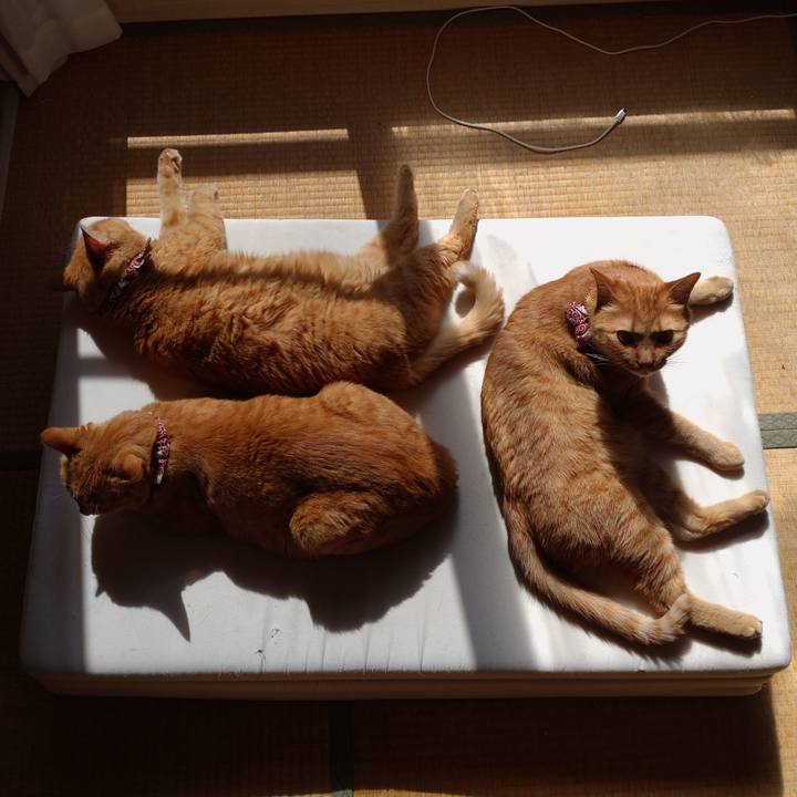 84a2c100 8180 43cf 83c6 96cf58a16aa6 1635404525180