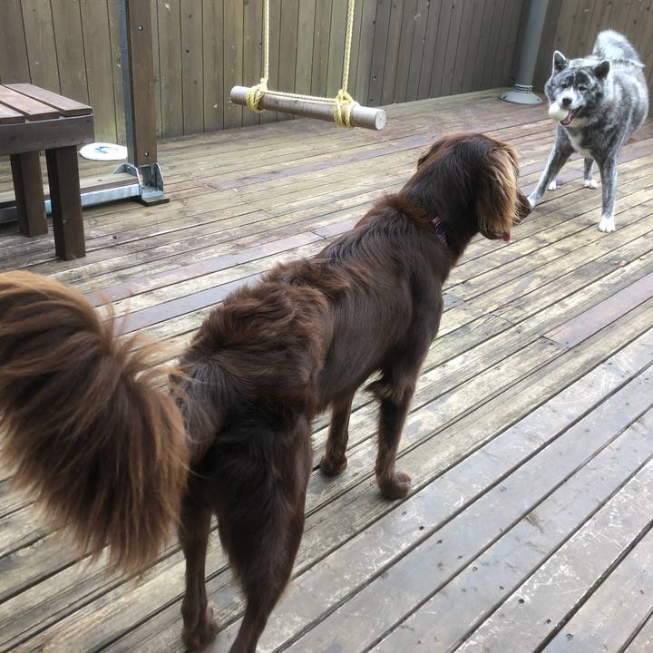 84a34832 bd9e 4390 b1e6 b5b19c7fb506 1595994344312