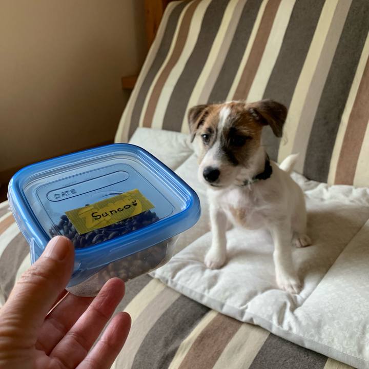 84a38489 4cad 49ef 8f00 0bbf03e7995d 1560816190977