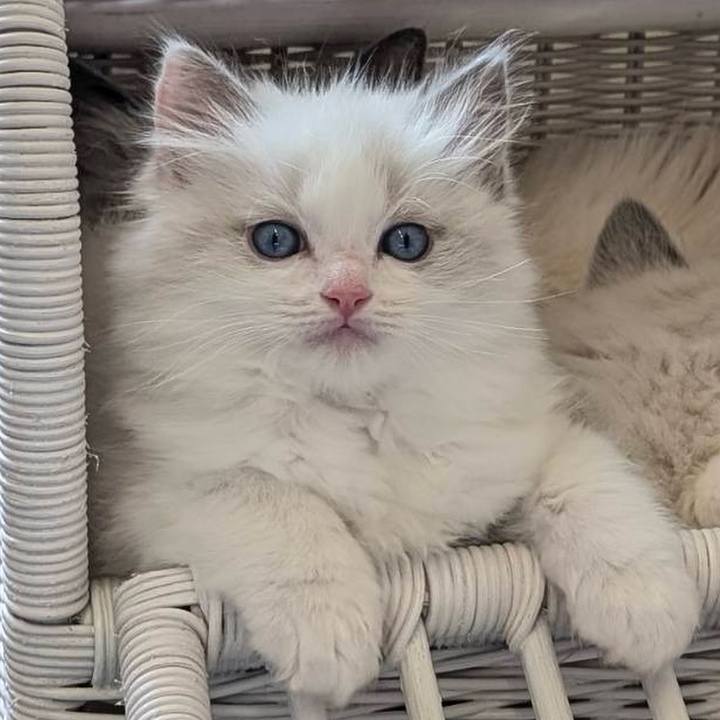 84a385bc d844 4b8c 957c 594e0dd8bd0f 1751880857292