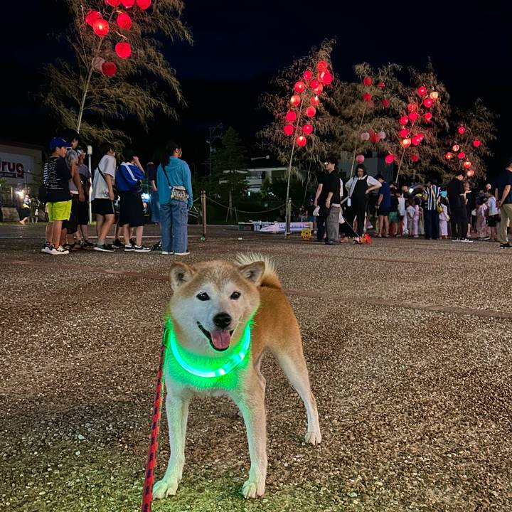 84a39698 791a 4555 b1b9 bf572defda46 1752926567719