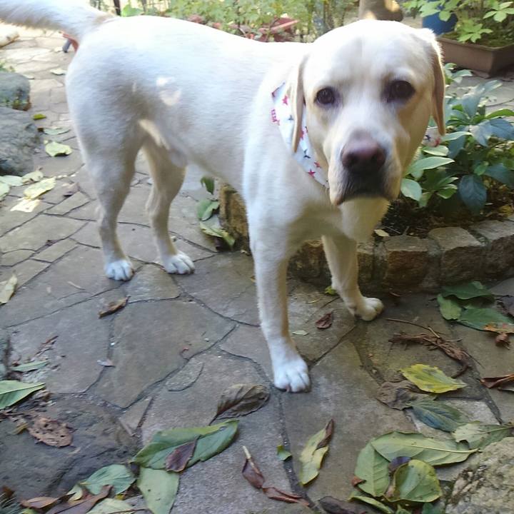 84a39b33 be96 4738 b950 ad79fe0e4521 1508737407342