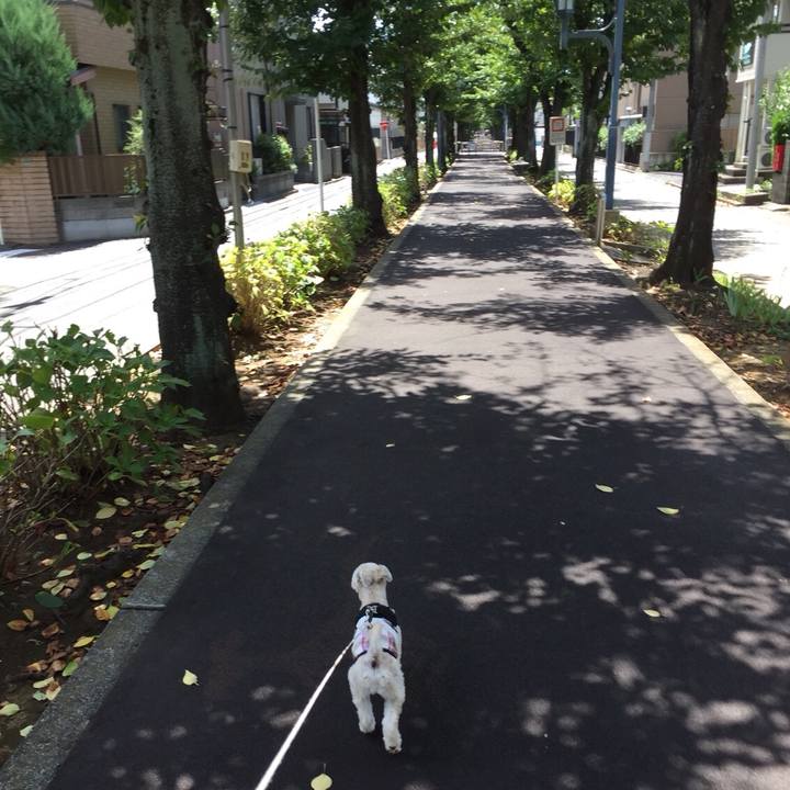 84a39be9 fcc0 4af1 a7b0 e0713ce271eb 1534307517519