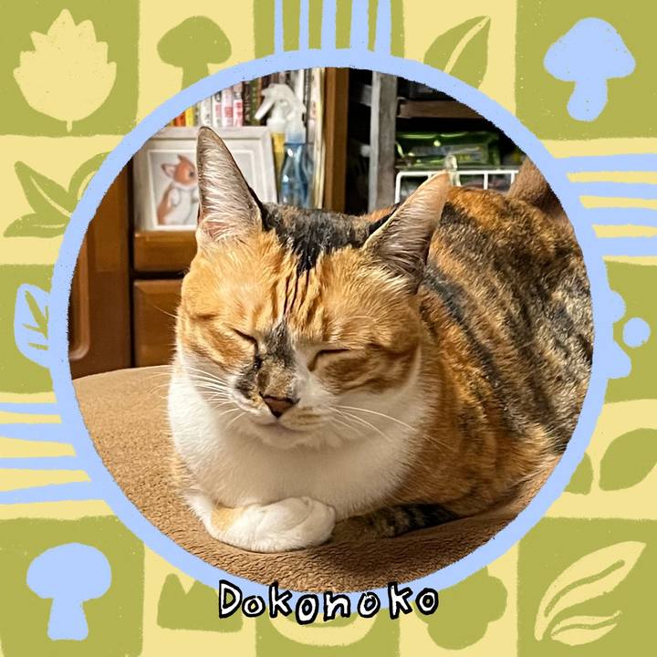 84a3d148 9259 4905 98e1 c392a0c524a9 1761355088502