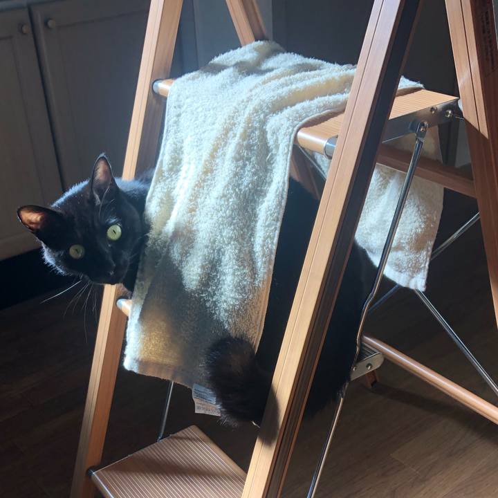 84a3e305 321b 4963 8445 bec15e8e781b 1626525836764