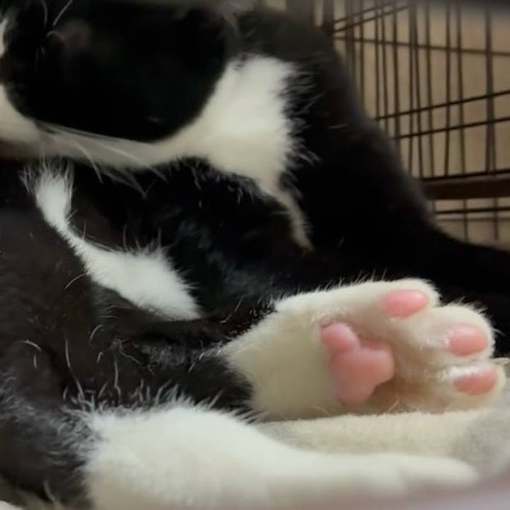 84a3f6ed fd86 4332 9d18 44d027c00aaf 1765188154031