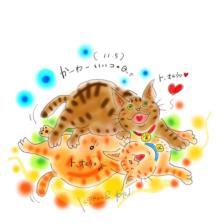 84a46b9d 252d 4b24 b63f 1e89bd331935 1636066912925