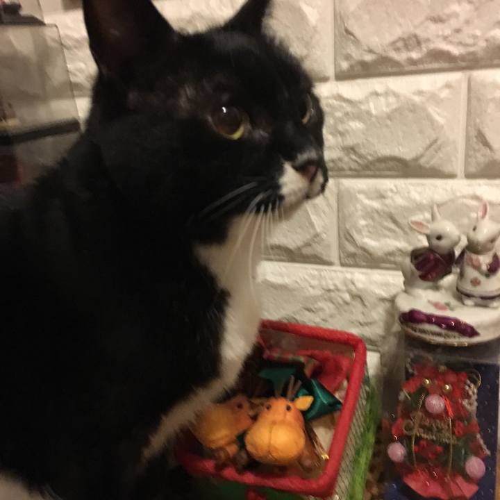 84a46ef2 a012 4044 89d6 06f34817ae0b 1544549107913