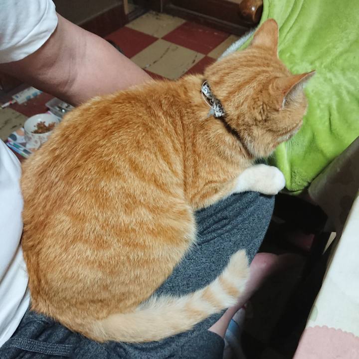 84a475fe 1866 428f aea3 01a0ea83fbed 1589106371042