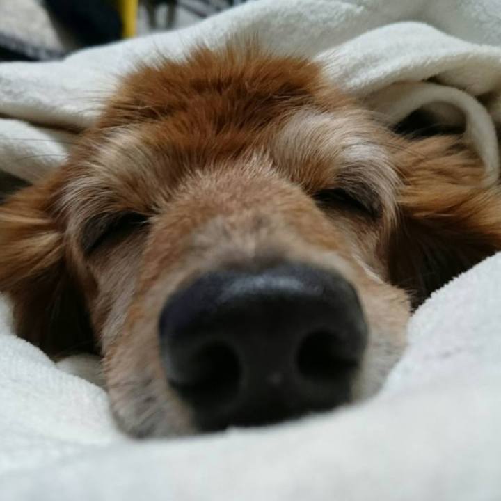 84a4b0e7 f1f7 4526 8e7f 5f8024d29d4c 1693586502185